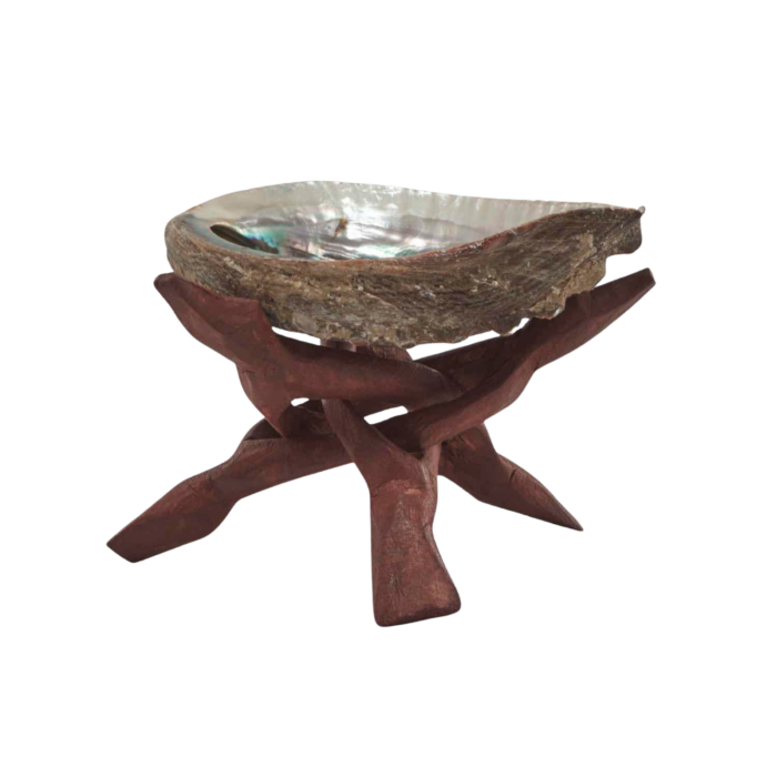 Shaman's Choice Shell Stand